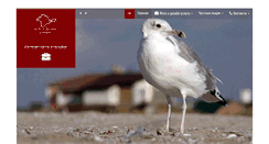 Desktop Screenshot of beloplotova.com
